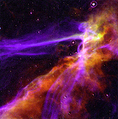 Cygnus - NASA
