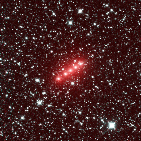 Comet C/2014 Q2 (Lovejoy) captured by NEOWISE